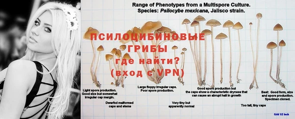 MESCALINE Абдулино